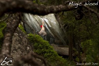 Bence in "Dinos don't Dyno"